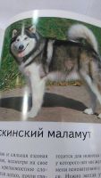 Лот: 9974663. Фото: 2. Отличный подарок. Книга. Полная... Справочная литература