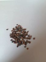 Лот: 25106740. Фото: 2. Что-то от электрики. Электрооборудование