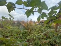 Лот: 25291842. Фото: 5. 1-комн. дача , садоводческое некоммерческое...