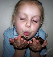 Лот: 99848. Фото: 2. Самый простой и интересный питомец... Животные и уход