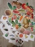 Лот: 15274755. Фото: 5. Карточки-картинки (овощи-фрукты...