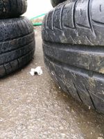 Лот: 7344136. Фото: 3. Летняя резина kleber dynaxer hp2... Авто, мото, водный транспорт