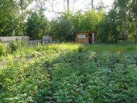 Лот: 7256141. Фото: 3. Земельный участок в г. Зеленогорске. Недвижимость