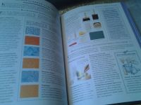 Лот: 6203740. Фото: 2. Золотые правила домоводства. 10000... Дом, сад, досуг