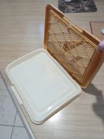 Лот: 25557558. Фото: 2. Лоток для собак и щенков (со съёмным... Животные и уход