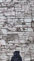 Лот: 19686924. Фото: 3. Профилированный лист С-10x0,3мм... Строительство и ремонт