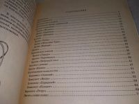 Лот: 18922011. Фото: 3. Филиппова С. Изделия из кожи... Литература, книги
