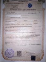 Лот: 10708527. Фото: 3. Ряпушка (Туруханска) х/к. Красноярск