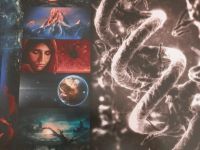 Лот: 11969027. Фото: 5. 2 LP Nightwish– "Endless Forms...