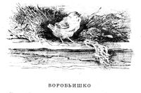 Лот: 20973571. Фото: 2. Горький Максим - Рассказы и сказки... Литература, книги