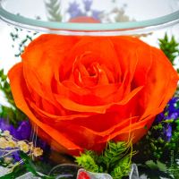Лот: 15604355. Фото: 3. Композиция из оранжевых роз (арт... Сувениры, подарки