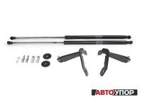 Лот: 20223881. Фото: 2. Амортизаторы (упоры) капота RAV4... Автозапчасти