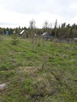Лот: 9656748. Фото: 3. Участок ст Крючково, 6 соток 15000р... Недвижимость