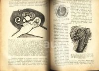 Лот: 20589389. Фото: 11. В двух переплётах.*Народная энциклопедия...