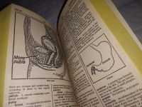 Лот: 13676046. Фото: 3. The new American Medical Dictionary... Литература, книги