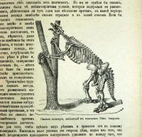 Лот: 20058018. Фото: 19. Чарльз Дарвин. Собрание сочинений...