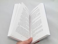 Лот: 9427823. Фото: 2. Матье Идальф и Шальная Молния. Детям и родителям