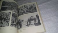 Лот: 11738856. Фото: 5. oz...Заветные травы, Питирим Массагетов...