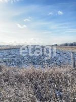 Лот: 25295077. Фото: 10. участок , село Частоостровское...