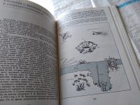 Лот: 18440516. Фото: 5. Зденек Кукал. Великие загадки...