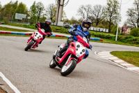 Лот: 3900624. Фото: 6. Продам мопед Baltmotors Hiker...