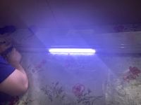 Лот: 19707990. Фото: 5. Led-String:GT0361 ,lg innotek...