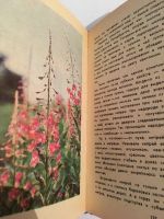 Лот: 12138952. Фото: 4. А. Стрижев. Лесные травы. Книга... Красноярск