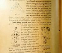 Лот: 20045026. Фото: 11. Н.С. Киселев. Краткий курс акушерства...
