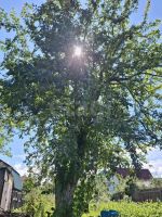 Лот: 25736589. Фото: 8. 0 дача , Красноярск Свободный...