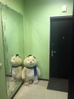 Лот: 8101554. Фото: 4. Продам Квартиру 1к Октябрьский... Красноярск