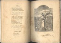 Лот: 21759233. Фото: 14. Алексей Васильевич Кольцов и его...