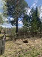 Лот: 25124375. Фото: 6. Земельный участок 8 соток на СНТ...