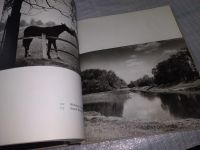 Лот: 18371540. Фото: 9. Reka Morava Reka Morava | Lisicka...