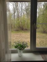 Лот: 24696647. Фото: 2. 1-комнатная, собственник. Продажа