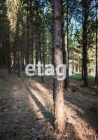 Лот: 25295121. Фото: 6. участок , СНТ Рось СНТ Рось, 58...