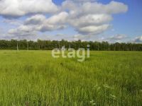Лот: 25292806. Фото: 2. участок , деревня Ермолаево деревня... Продажа