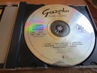 Лот: 14573667. Фото: 3. Gazebo - I like Chopin (1983). Красноярск