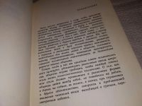 Лот: 6668217. Фото: 21. Как себя вести, Юрай Орлик, Э...