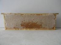 Лот: 18557051. Фото: 2. Мёд в сотах. Продукты