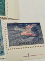 Лот: 19674138. Фото: 3. Марки СССР 1972 г. Фауна морей... Красноярск