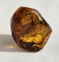 Лот: 25338979. Фото: 7. Янтарь с мелким комариком