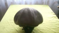 Лот: 15393677. Фото: 2. Берет женский. Женская одежда