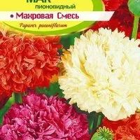 Лот: 12884833. Фото: 2. Семена мака пионовидного махрового... Семена, рассада, садовые растения