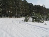 Лот: 9045704. Фото: 2. Замечательное место для строительства... Продажа