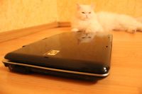 Лот: 2813895. Фото: 5. HP Tablet PC tx2640er - универсальный...
