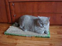 Лот: 11735613. Фото: 2. Когтеточка - лежанка для кошек... Животные и уход
