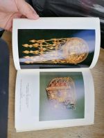 Лот: 17990662. Фото: 5. книга Эрмитаж. 1981г