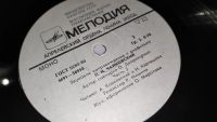 Лот: 25648406. Фото: 10. Патефонные и виниловые пластинки...