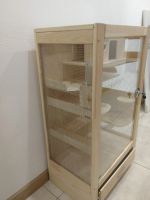 Лот: 19847840. Фото: 6. Витрина грызуны шиншиллы белки...