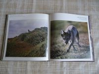 Лот: 21993844. Фото: 4. Таймыр-Край удивительный